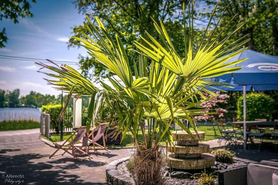 Sopherl Am See - Fruehstueck Auf Der Seeterrasse, Sehr Ruhig Und Wunderschoen Am See, 3 Minuten Nach Oberpfaffenhofen, Viele Radtouren, Restaurants & Cafes In Der Umgebung Weßling Buitenkant foto
